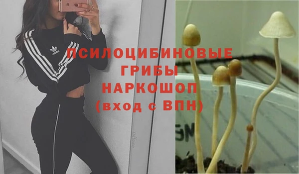 тгк Богородицк