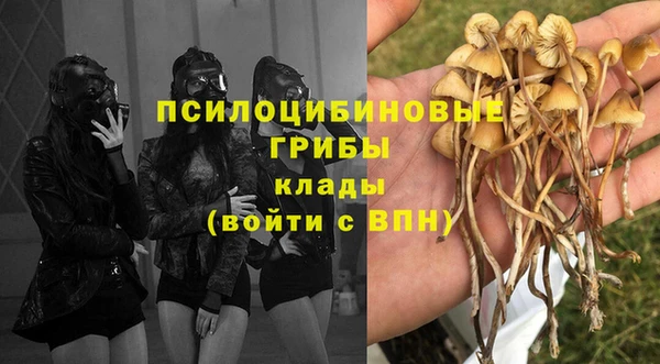 2c-b Белокуриха